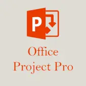 Microsoft Project Professional 2021