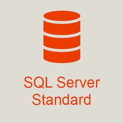 Microsoft SQL Server 2022 Standard + 40 User Cals