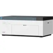 Liene Amber M100 4x6"