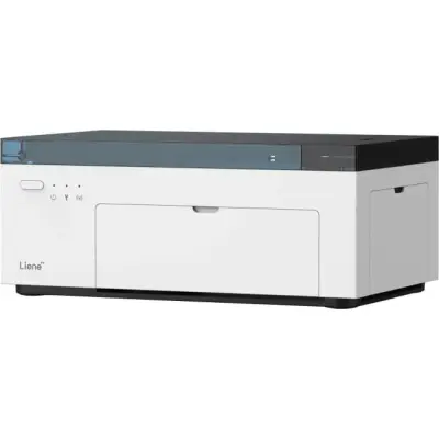 Liene Amber M100 4x6"