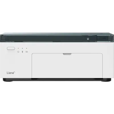 Liene Amber M100 4x6