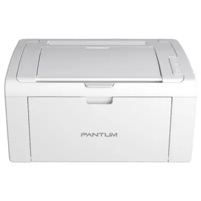 Pantum P2509W
