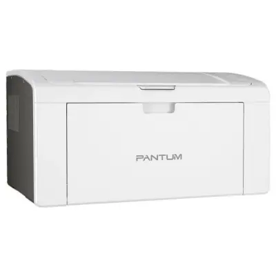 Pantum P2509W