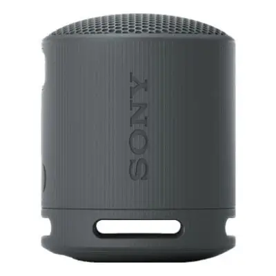 Sony SRS-XB100 Czarny