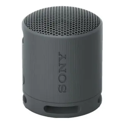 Sony SRS-XB100 Czarny