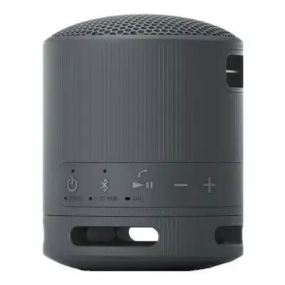 Sony SRS-XB100 Czarny