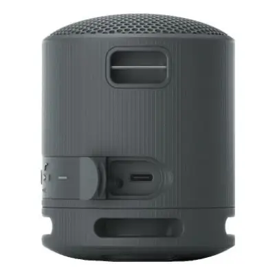 Sony SRS-XB100 Czarny