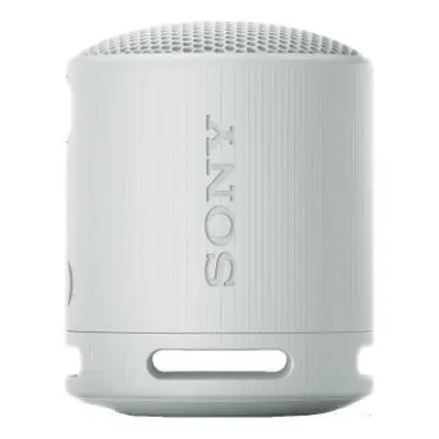 Sony SRS-XB100 Szary