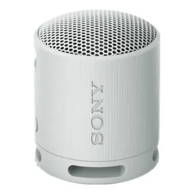 Sony SRS-XB100 Szary