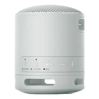Sony SRS-XB100 Szary