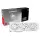 PowerColor Radeon RX 9060 XT Hellhound Spectral White 16GB OC