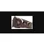ASUS GeForce RTX 5080 NOCTUA OC 16GB DLSS 4
