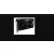 PNY GeForce RTX 5050 Dual Fan 8GB DLSS 4