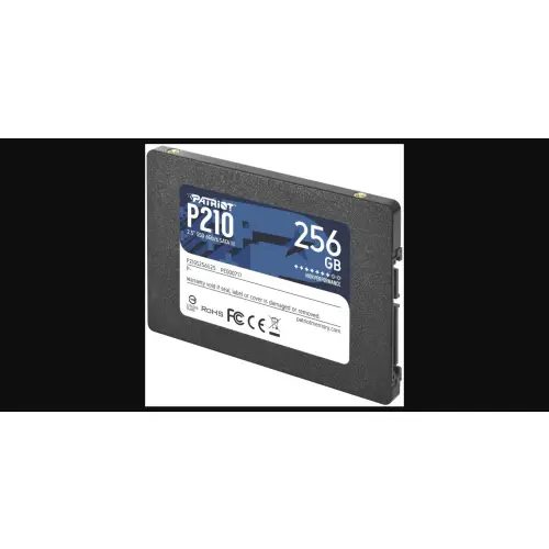 Patriot P210 256GB