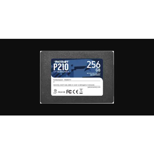 Patriot P210 256GB