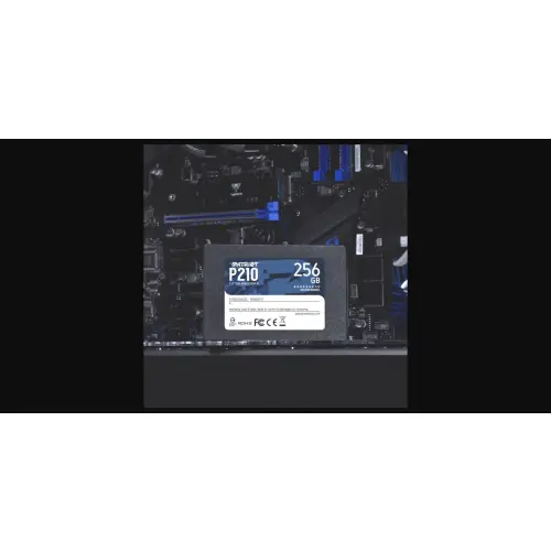 Patriot P210 256GB