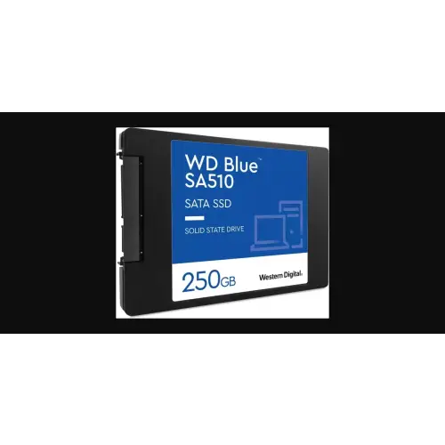 WD Blue SA510 250GB