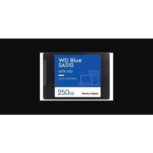 WD Blue SA510 250GB