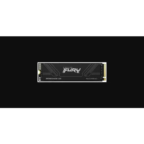 Kingston Fury Renegade G5 M.2 Pci-e 5.0 NVMe 2TB