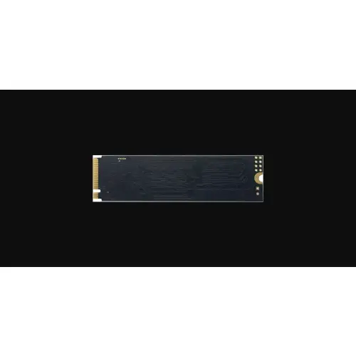 Patriot P300 512GB