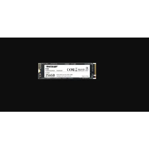 Patriot P300 256GB