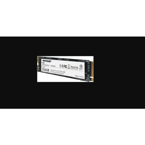 Patriot P300 256GB