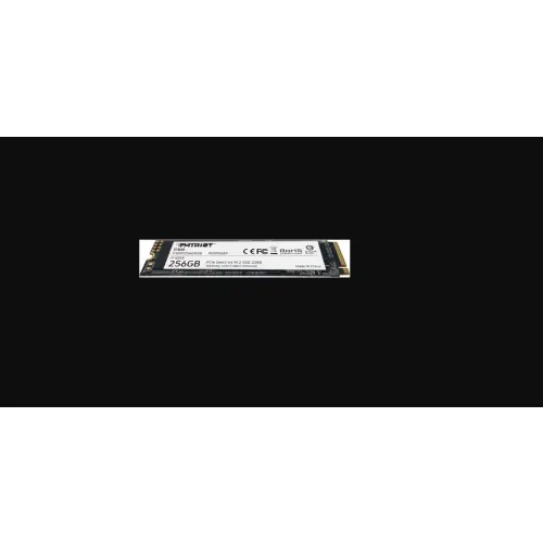Patriot P300 256GB