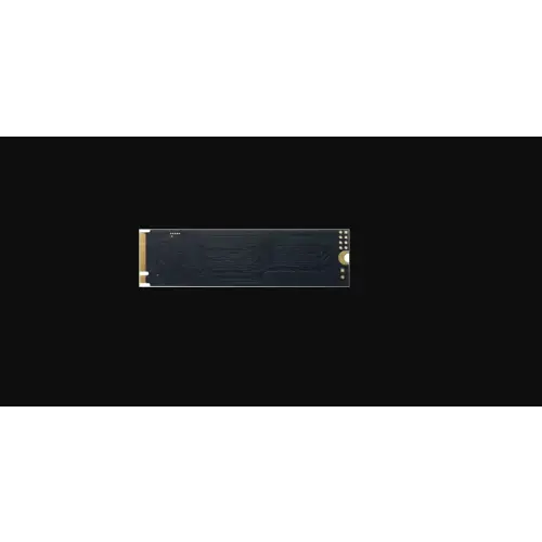 Patriot P300 256GB