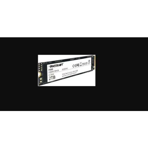 Patriot P300 2TB