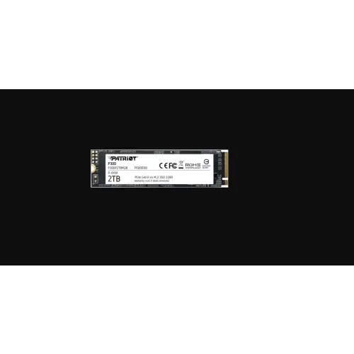 Patriot P300 2TB