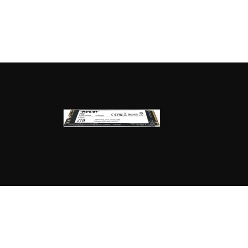 Patriot P300 2TB