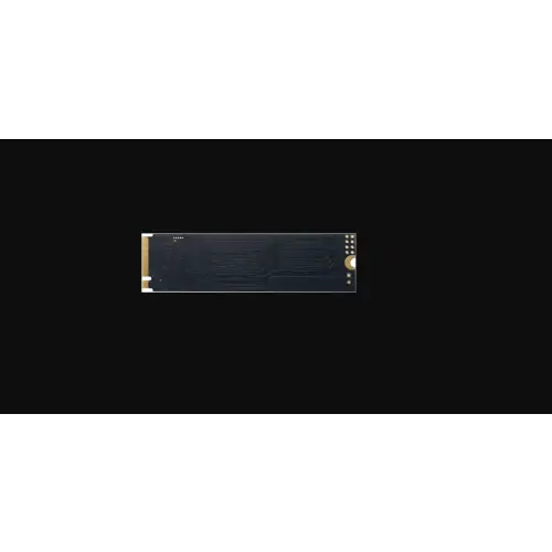 Patriot P310 PCIe NVMe 480GB