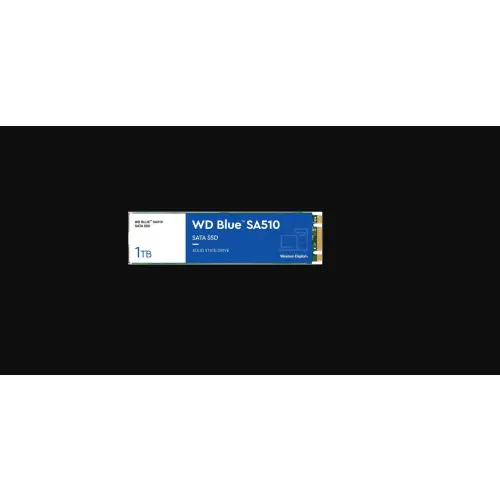 WD Blue SA510 M.2 1TB