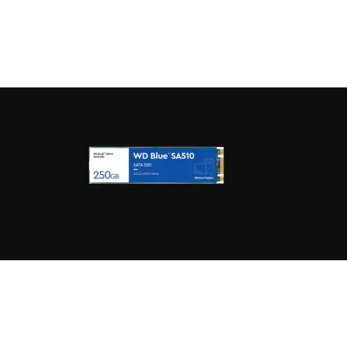 WD Blue SA510 M.2 250GB