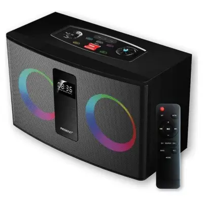 Ferguson Regent 300BT