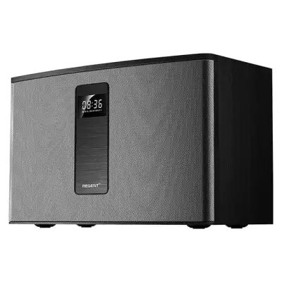 Ferguson Regent 300BT