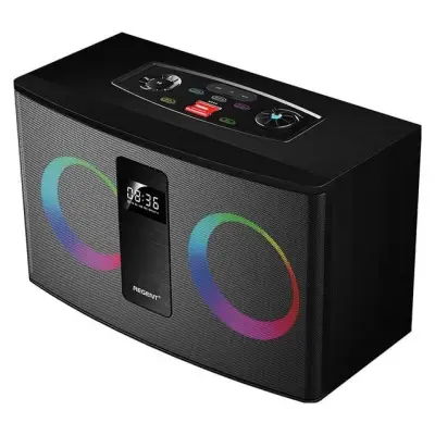 Ferguson Regent 300BT