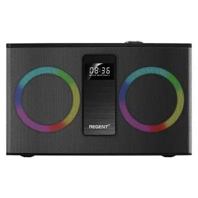 Ferguson Regent 300BT