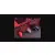 A4Tech Gamepad Bloody GPW50 Sports Red RF