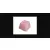 Genesis Lead 300 różowe Double Shot Keycaps