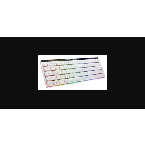 Asus Rog Falchion RX LP