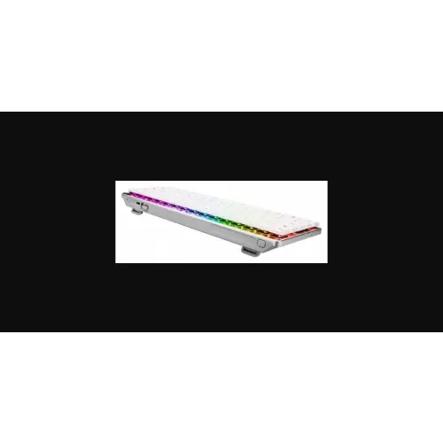 Asus Rog Falchion RX LP
