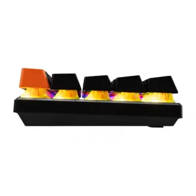 Baracuda BGK-03121 Dolphin Black US blue switch