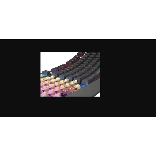 Genesis Thor 230 TKL Wireless czarna RGB Outemu Panda