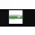 Redragon Redragon A140 Ombre Green