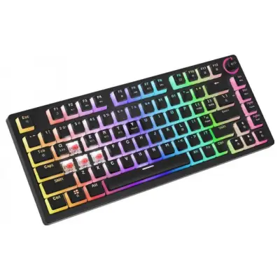 SAVIO PHENIX Gateron Red Pro, Pudding