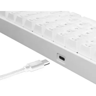 White Shark Shinobi RS Biała