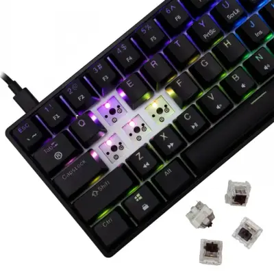 White Shark Shinobi-2 black brown switch