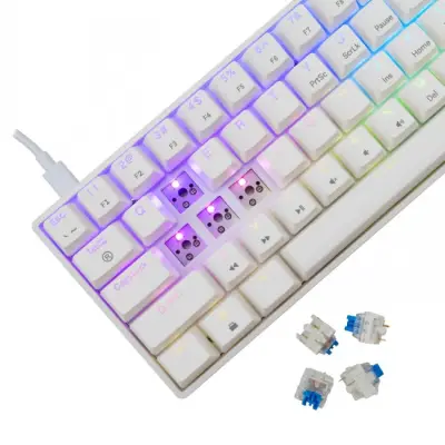 White Shark Shinobi-2 white blue switch