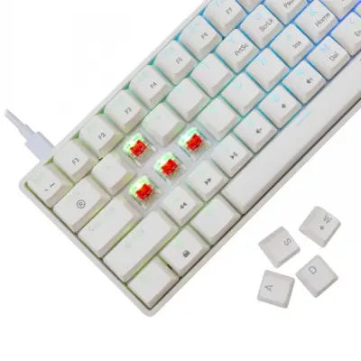 White Shark Shinobi-2 white red switch